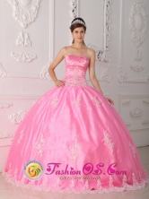 Appliques  Wholesale Decorate Bodice Rose Pink Quinceanera Dress For 2013 Floor-length and Strapless For 2013 In El Callao Venezuela Style QDZY279FOR   