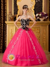Chimbote Peru Brand New Hot Pink and Black wholesale Quinceanera Dress With Sweetheart Neckline and Hand Made Flower Decorate Tulle Skirt in Spring Style QDZY130FOR
