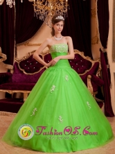 Customized  Wholesale Spring Organza Green Appliques Decorate  Ruching Princess Quinceanera Dress In San Mateo Venezuela Style QDZY079FOR 