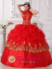 Talara Peru Sweet 16 Hot Pink Halter Embroidery 2013 Special Quinceanera Gowns With Pick ups Style QDZY694FOR