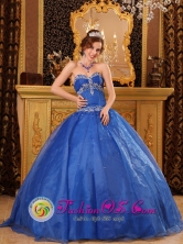 Affordable Blue Organza Quinceanera Dress with Appliques For 2013  Corozal Colombia Wholesale Sweetheart   Style QDZY086FOR