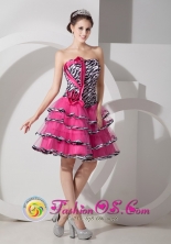 Chepen Peru Customize Hot Pink A line Strapless Mini length Organza Zebra wholesale Prom Dress for Celebrity Style MLXN146FOR