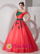 Pretty One Shoulder Ruching Quinceanera Dress With Hand Made Flowers in Villazon Bolivia Style MLXNHY01FOR