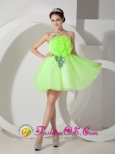 Spring Green A-line Strapless Mini-length Organza Hand Made Flowers  Celebrity Dress IN Montero Bolivia Style MLXNHY08FOR