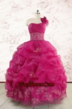 2015 Cheap Appliques Quinceanera Dresses in Fuchsia FNAO5689FOR
