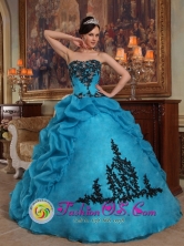 2013 Juticalpa Honduras Custom Made Strapless Blue Pick-ups Quinceanera Gowns With Organza and Taffeta Style QDZY390FOR