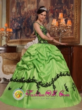 2013  Morazan Honduras  Popular Appliques Decorate Bodice Spring Green Quinceanera Dress For Sweet Style Straps Taffeta Style QDZY396FOR