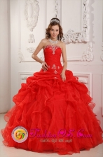 2013 Salta Argentina Strapless Red Appliques and Ruched Bodice Ruffles Organza Quinceanera Dress  Style QDZY031FOR