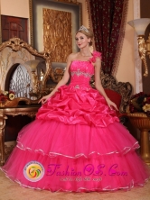 Custom Made One Shoulder Organza Romantic Hot Pink Beading and Pick-ups Quinceanera Dresses In Autumn Puerto Cortes Honduras  Style QDZY755FOR 