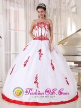 Customized White and red Satin and Organza Quinceanera Dress With Strapless Appliques Decorate In RosarioArgentina  Style PDZY569FOR