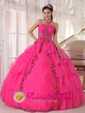 Hot Pink Paillette and applique For 2013 Talanga Honduras Quinceanera Dress With Sweetheart Organza tiered skirt  Style PDZY480FOR  