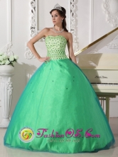 Sweet 2013 Comayagua Honduras Beading Decorate Bodice Spring Green Tulle Quinceanera Dresses Style QDZY739FOR 
