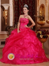 2013 Florencia Colombia Organza Hot Pink Beaded Quinceanea Dresses for Sweet 16 Dresses Wear Style  QDZY659FOR