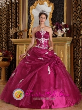 Appliques Brand New Fuchsia Dress Strapless Organza and Satin Ball Gown For 2013 Bolivar Colombia Quinceanera Style  QDZY310FOR 