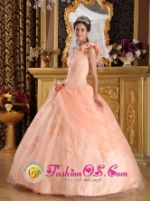 Buenos Aires Colombia Sweet 16 Dress Pink One Shoulder Hand Made Flowers  With Appliques and Pick-ups Style QDZY179FOR