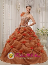 Coyaima Colombia Discount Rust Red Quinceanera Dress Hand Made Flower Decorate One Shoulder Organza Appliques Decorate Up Bodice For 2013 Style QDZY302FOR