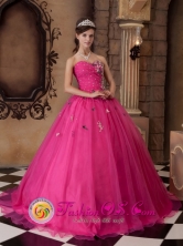 Fuchsia A-line Appliques Decorate Bust Dress With Sweetheart For 2013 La Union Colombia Quinceanera Style QDZY318 FOR