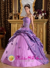 Lavender Quinceanera Dress For 2013  Paipa Colombia Hand Made Flowers Appliques Stylish Strapless Taffeta Style QDZY198FOR