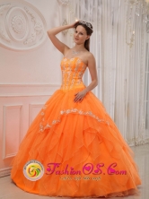 Luxurious 2013 Garzon Colombia Summer Quinceanera Dress With Sweetheart Organza Appliques Bodice Style  QDZY311FOR 