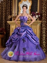 Princess Purple 2013 Mitu Colombia Winter Strapless Quinceanera Dress With Appliques and Pick- ups Style QDZY201FOR
