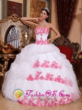 Puerto Boyaca Colombia Strapless Appliques Organza Wholesale Quinceanera Dress for 2013 Ball Style  QDZY684FOR
