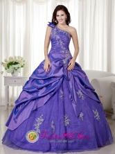 Timbio Colombia Elegant A-line Purple One Shoulder Appliques and Ruch Quinceanera Dresses Oline Taffeta and Organza for Celebrity Style MLXN076FOR 
