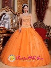 San Jose del Guaviare Colombia Apliques and Sash Sweetheart Tulle Embroidery Decorate Quinceanera Dress Style  QDZY662FOR 