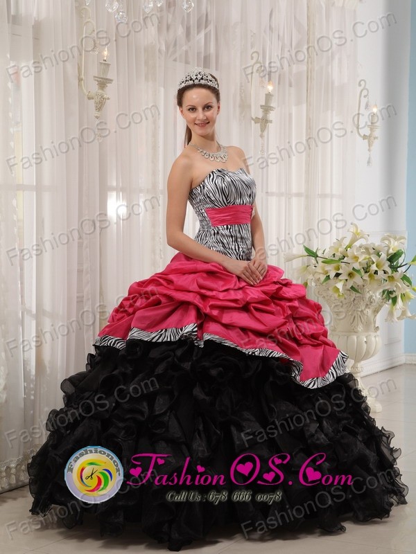 Gorgeous Zebra with Beading and Pick-ups Colorful Ball Gown For 2013 Quinceanera Dress  IN Jose Pedro Varela Uruguay Style QDZY434-2FOR 