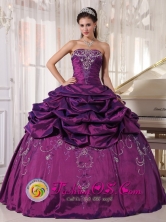 2013 RosarioArgentina Summer Eggplant Purple Embroidery Quinceanera ...