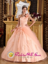 Manta  Ecuador sweet sixteen Dress Pink One Shoulder Hand Made Flowers  With Appliques and Pick-ups In South Carolina Style QDZY179FOR
