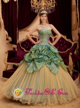 Manzanillo Cuba Remarkable Olive Green Pick-ups Beading Strapless Quinceanera Dress With Taffeta and Tulle 2013 for  Sweet sixteen Style QDZY223FOR 