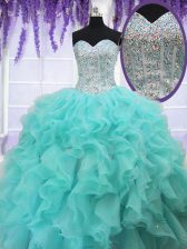  Organza Sleeveless Floor Length 15th Birthday Dress and Beading and Ruffles