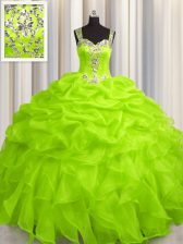 Stunning See Through Zipper Up Zipper 15th Birthday Dress Appliques and Ruffles Sleeveless Floor Length