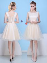  Scoop Knee Length A-line Sleeveless Champagne Damas Dress Lace Up