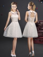 Dazzling Lace Sleeveless Knee Length Dama Dress and Lace and Appliques