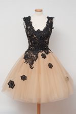  Sleeveless Tulle Knee Length Zipper Dress for Prom in Champagne with Appliques