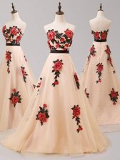  Sweetheart Sleeveless Brush Train Zipper Prom Gown Champagne Tulle