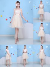 Beauteous Champagne Strapless Lace Up Bowknot Quinceanera Court Dresses Sleeveless