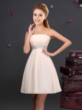  Strapless Sleeveless Chiffon Dama Dress for Quinceanera Sequins and Ruching Zipper