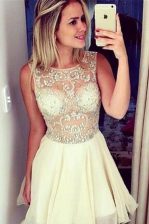 Modest Mini Length A-line Sleeveless Champagne Prom Dresses Zipper