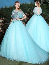 Artistic Scoop Half Sleeves Brush Train Appliques Lace Up Vestidos de Quinceanera