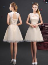  Tulle Sleeveless Mini Length Vestidos de Damas and Lace and Appliques and Belt