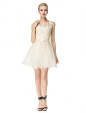 Chic Scoop Champagne Sleeveless Organza Lace Up Prom Evening Gown for Prom