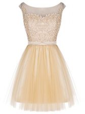 Artistic Sleeveless Tulle Mini Length Zipper in Champagne with Lace