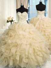 Wonderful Sweetheart Sleeveless Organza 15th Birthday Dress Beading and Ruffles Lace Up