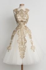  Champagne Tulle Zipper High-neck Sleeveless Knee Length Evening Dress Lace