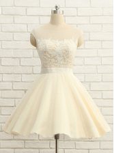 Great Scoop Cap Sleeves Organza Evening Dress Lace Zipper