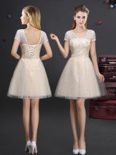  Tulle V-neck Short Sleeves Lace Up Lace and Appliques and Belt Dama Dress in Champagne