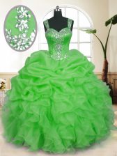 Shining Organza Sleeveless Floor Length Quince Ball Gowns and Beading and Ruffles and Pick Ups