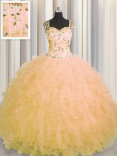 Eye-catching See Through Zipper Up Gold Sleeveless Tulle Zipper 15th Birthday Dress for Military Ball and Sweet 16 and Quinceanera